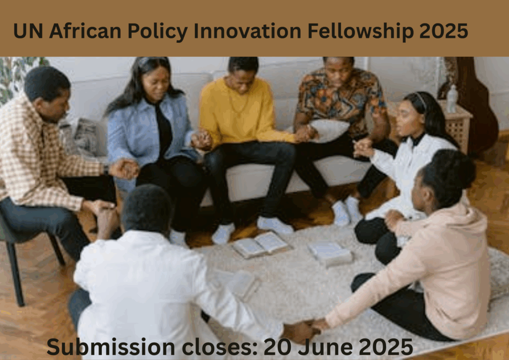 Fully Funded UN African Policy Innovation Fellowship